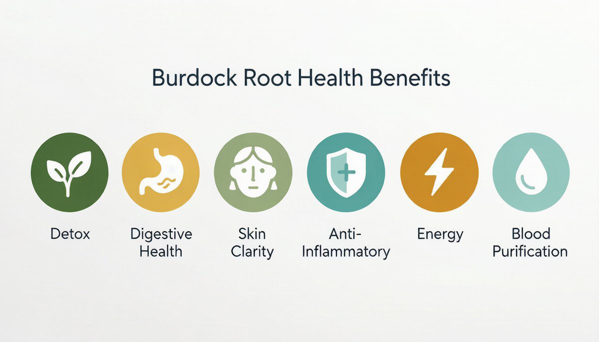 Six key health benefits of burdock root tea illustrated as circular icon badges — Detox, Digestion, Skin, Inflammation, Energy, Blood Purification